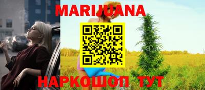 гашик Кунгур