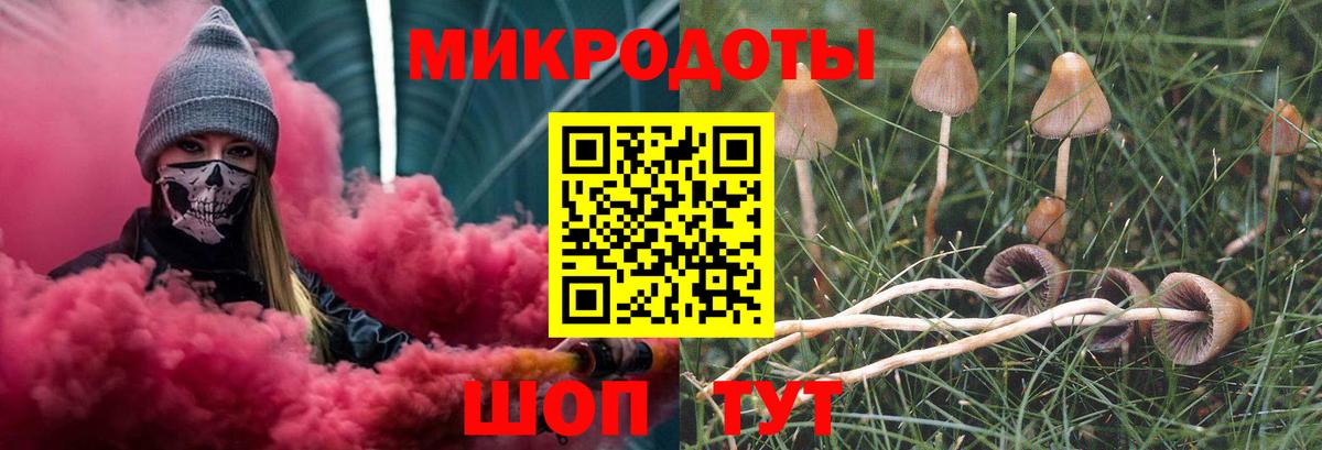 наркотики  Псилоцибиновые грибы прущие грибы  Вход с VPN  Владимир 