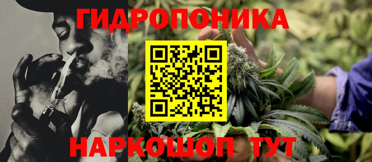 Каннабис AK-47 Владимир